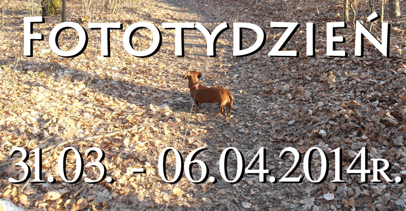 Fototydzień 31.03. – 06.04.2014r.